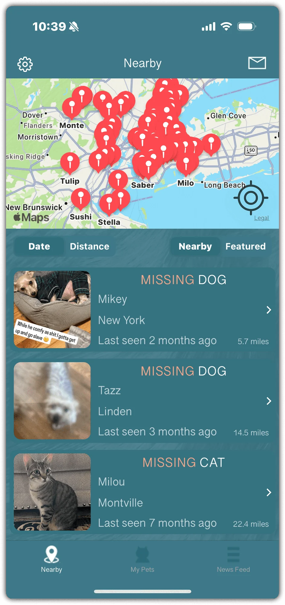 Competitor research: Missing Pet App.