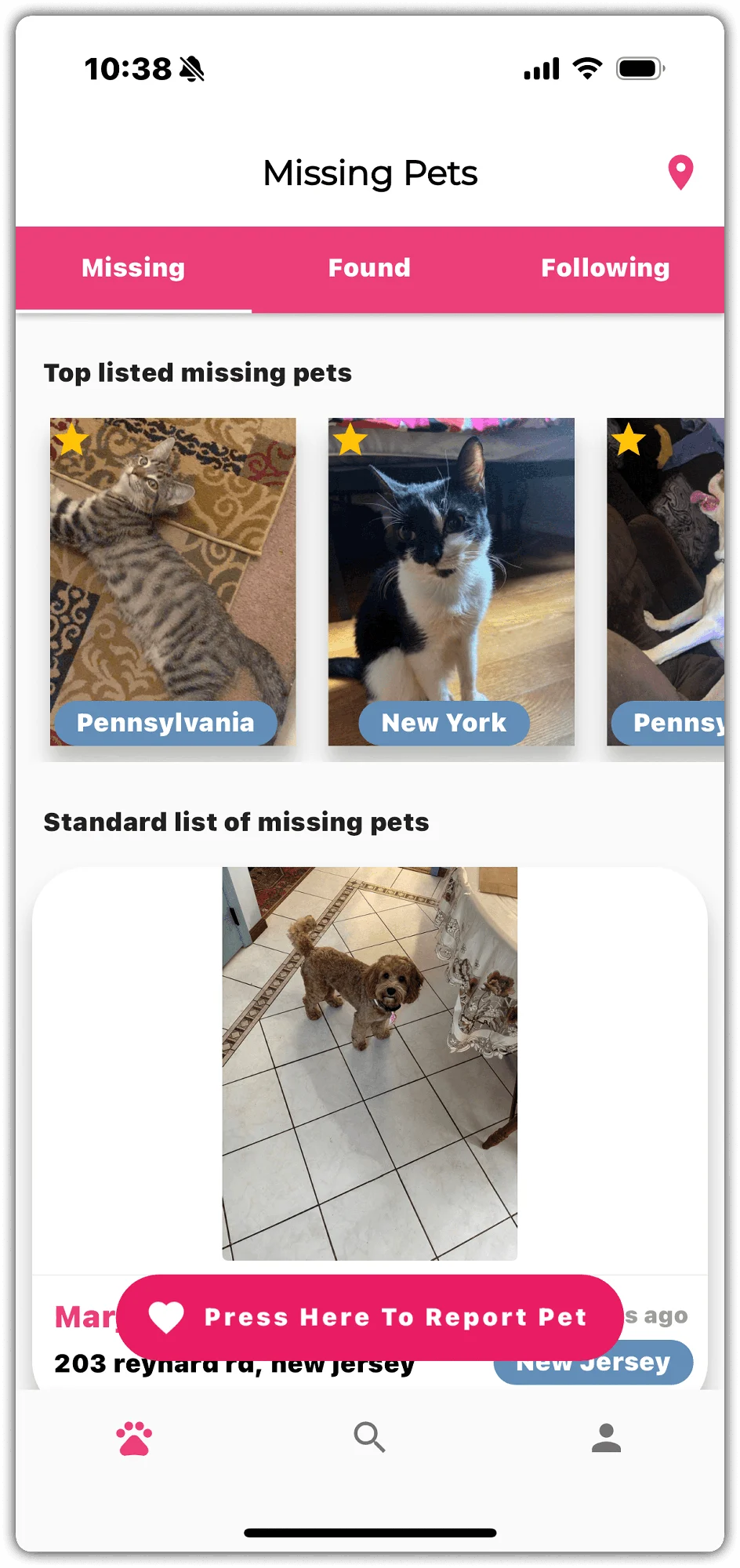 Competitor research: Missing Pets App.