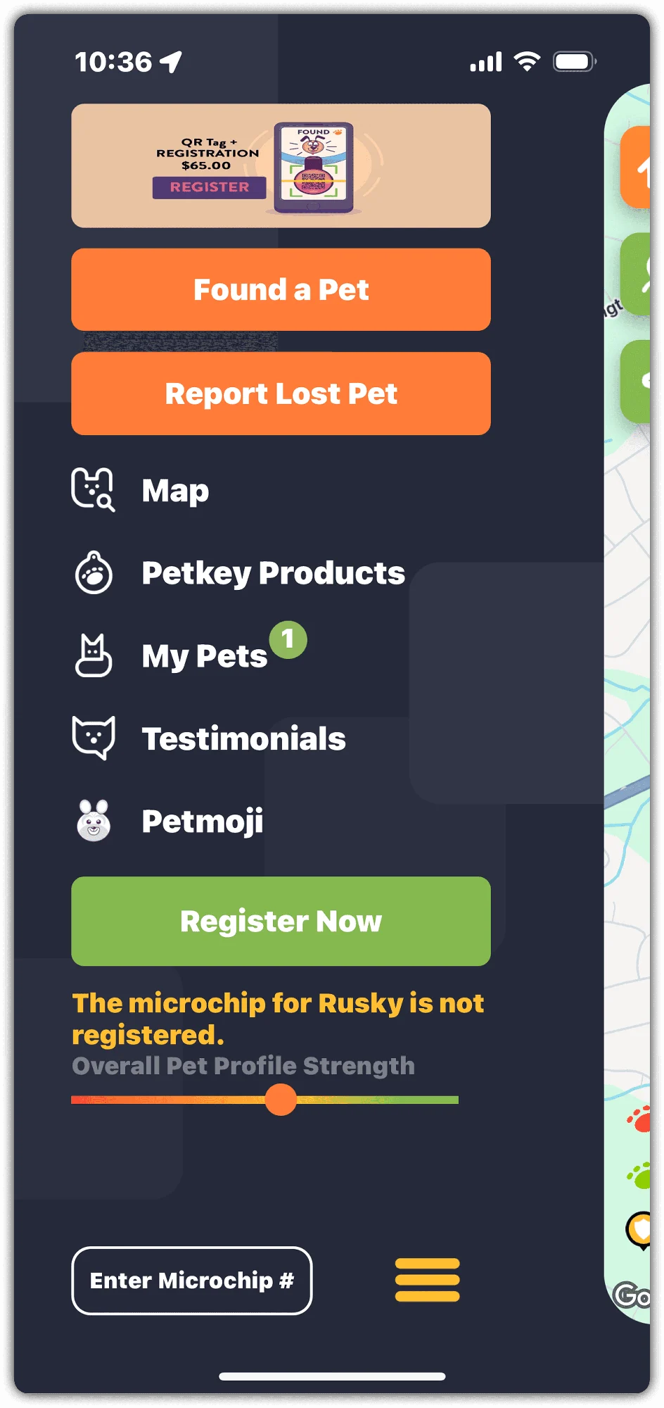 Competitor research: PetKey.