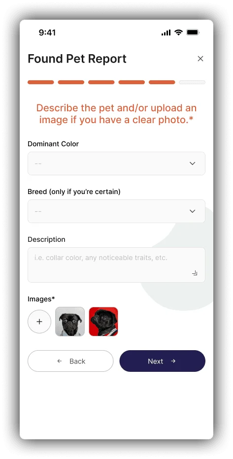 Found-pet reporting: supporting photo states.