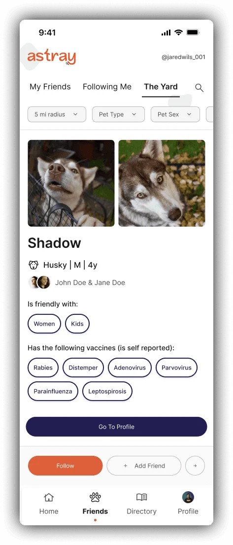 Card-based discovery: focused profiles and intentional connection actions.