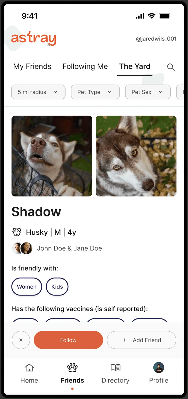 Astray pet profile for Shadow the husky